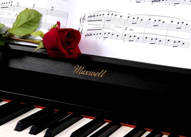 Red Rose on Piano — Black, Serene