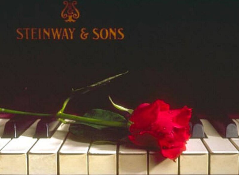 Red Rose on Piano — Black