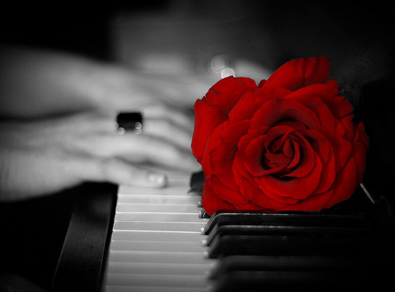 Red Rose on Piano — Dramatic, Photograph, Piano Keys