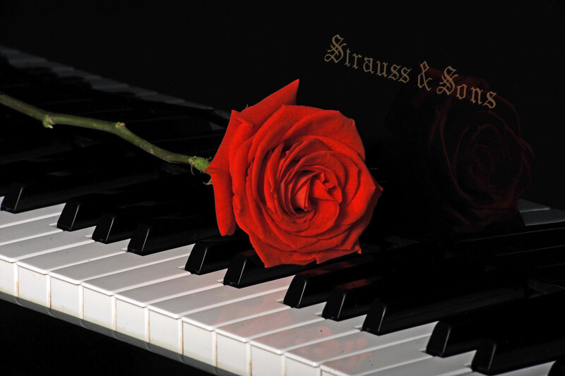 Red Rose on Piano — Dramatic, Photograph