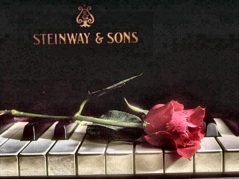 Red Rose on Piano Keys — Black, Dramatic