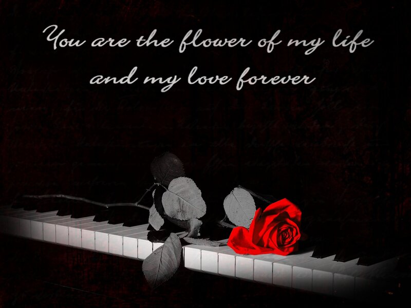 Red Rose on Piano Keys — Black, Romantic