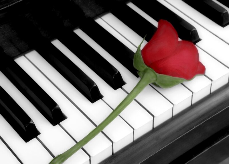 Red Rose on Piano Keys — Black