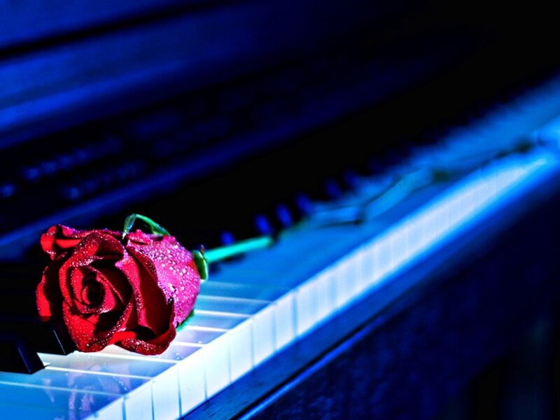 Red Rose on Piano Keys — Blue