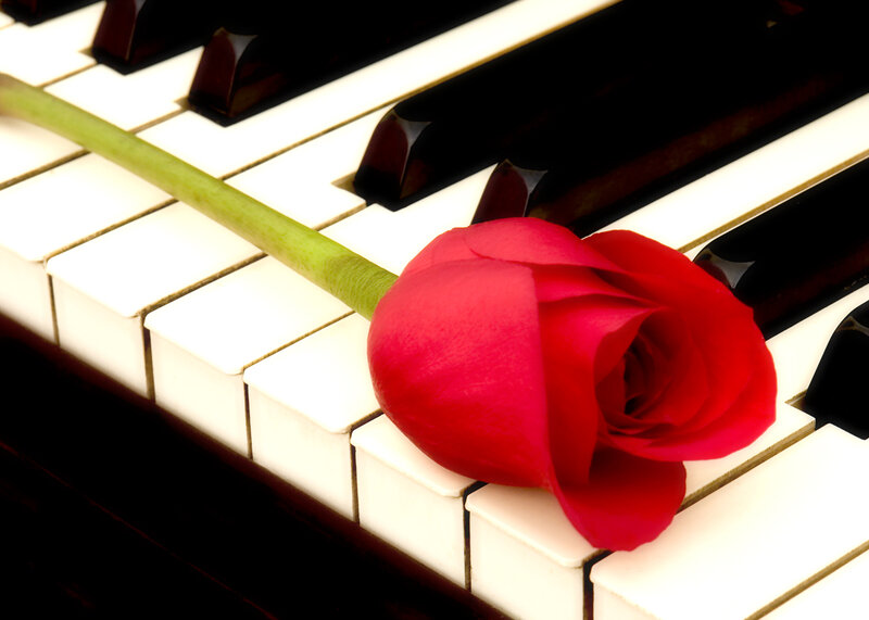 Red Rose on Piano Keys — Calm, Photograph