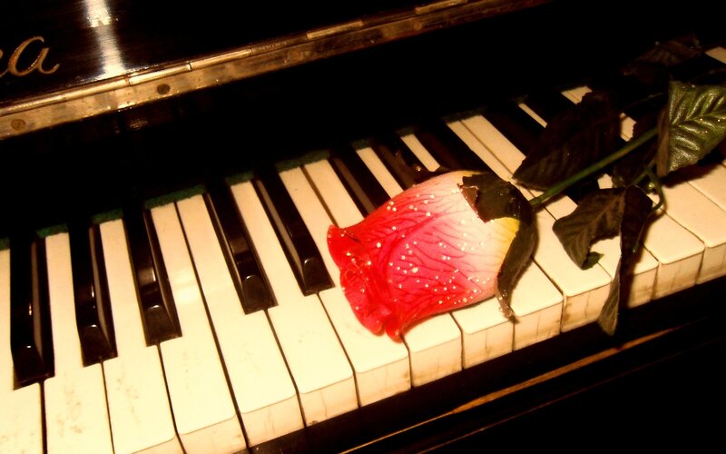 Red Rose on Piano Keys — Dramatic, Night, Photograph, Leaves