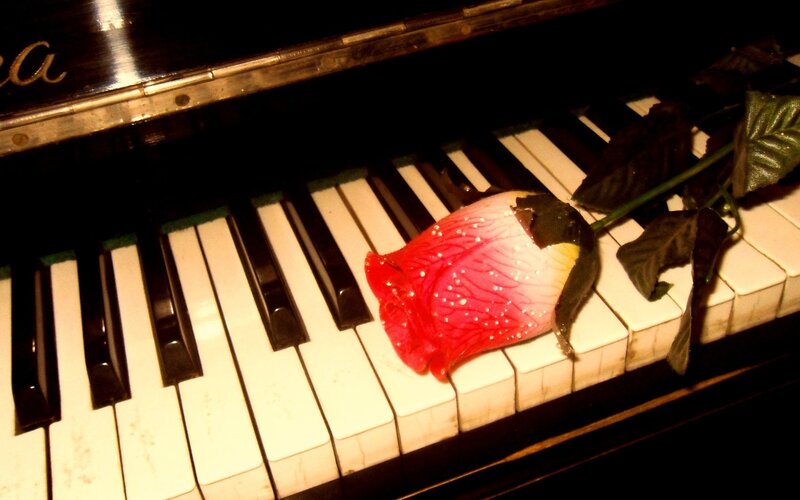 Red Rose on Piano Keys — Dramatic, Night, Photograph