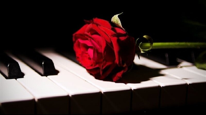 Red Rose on Piano Keys — Dramatic, Night