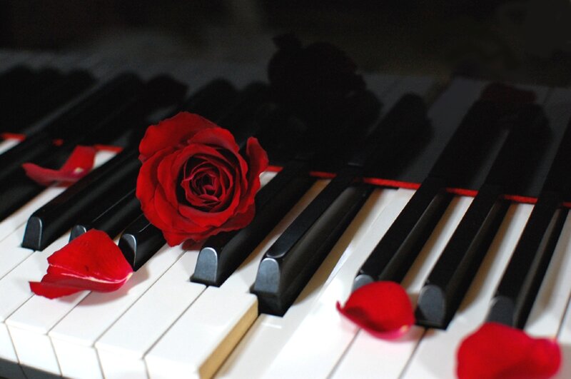 Red Rose on Piano Keys — Dramatic, Photograph, Petals