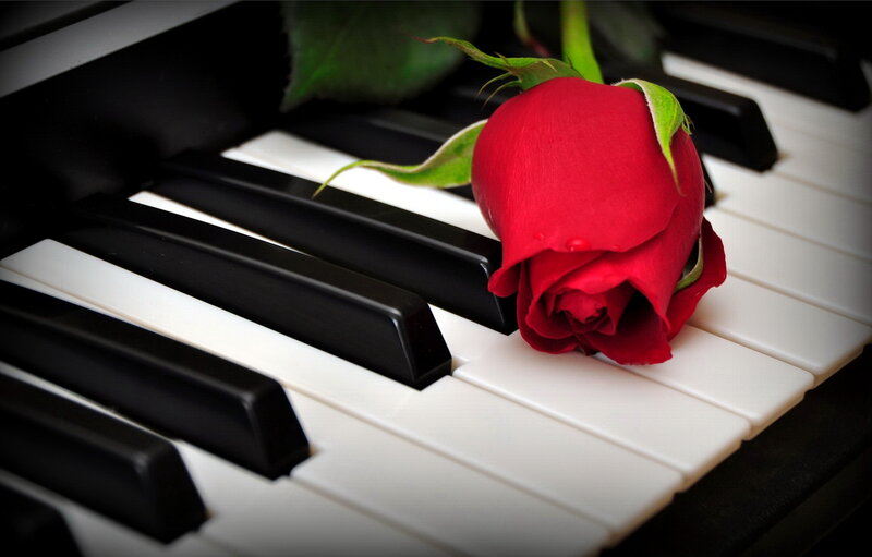 Red Rose on Piano Keys — Dramatic, Photograph, Piano Keys, Leaf