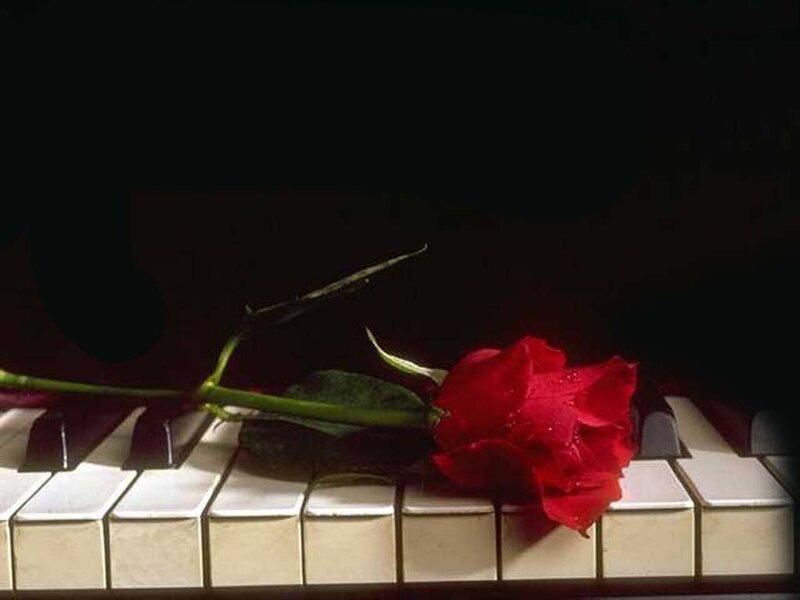 Red Rose on Piano Keys — Dramatic, Photograph, Piano Keys, Stem