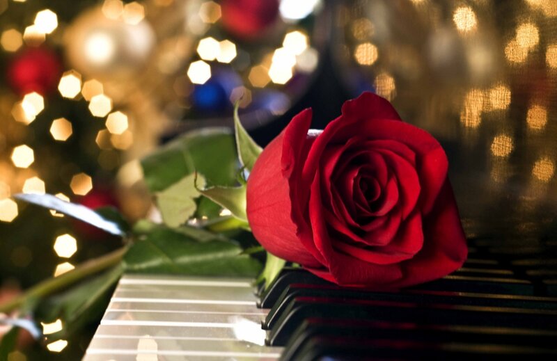 Red Rose on Piano Keys — Romantic, Night, Photograph