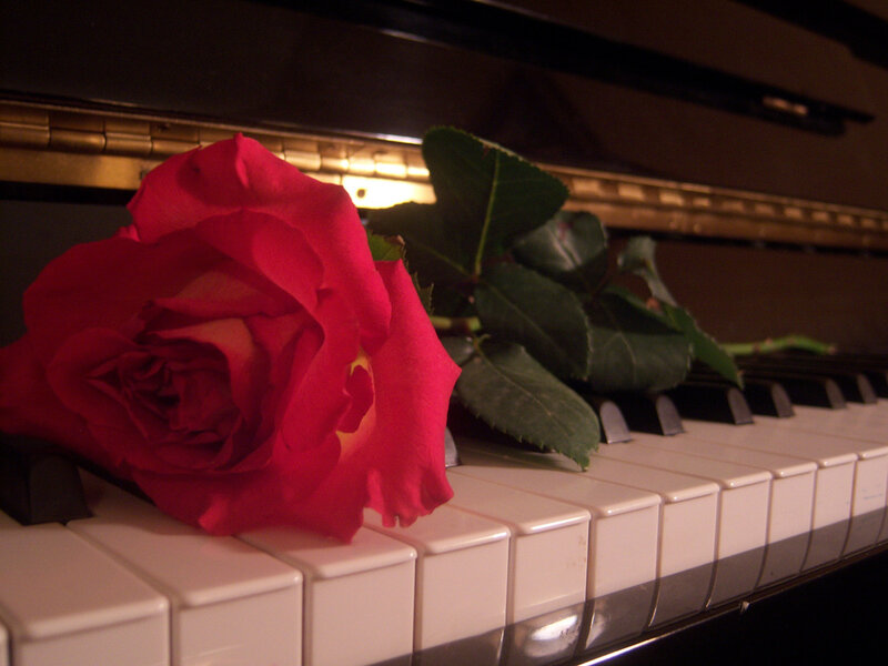 Red Rose on Piano Keys — Romantic, Night