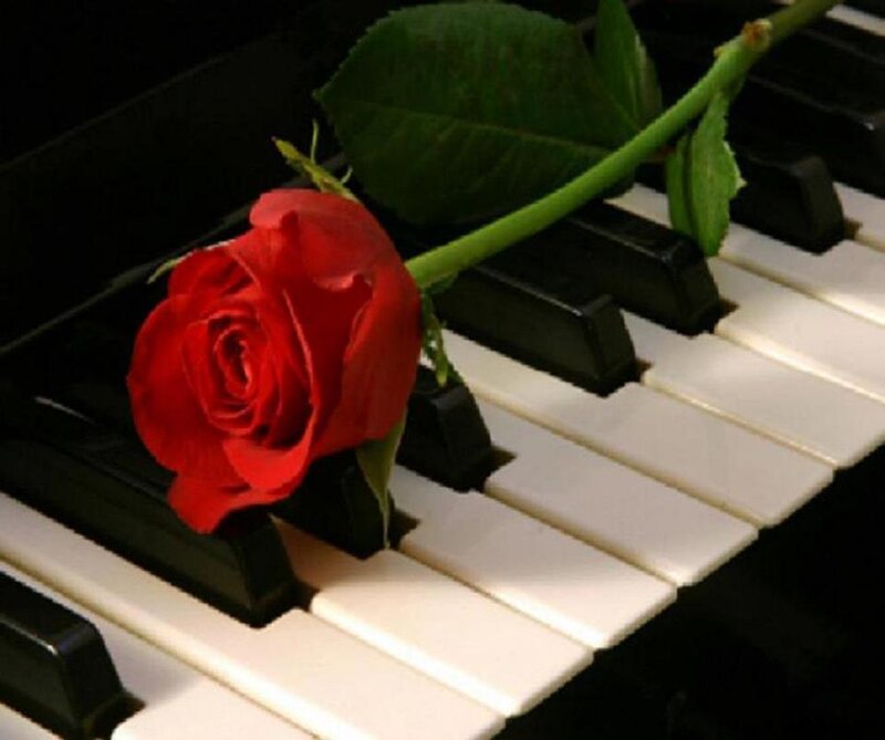 Red Rose on Piano Keys — Romantic, Photograph, Piano Keys