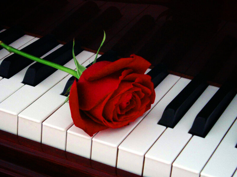 Red Rose on Piano Keys — Romantic, Photograph, Stem
