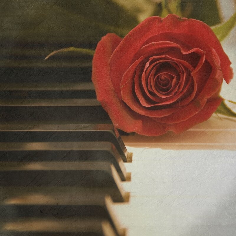 Red Rose on Piano Keys — Romantic, Photograph