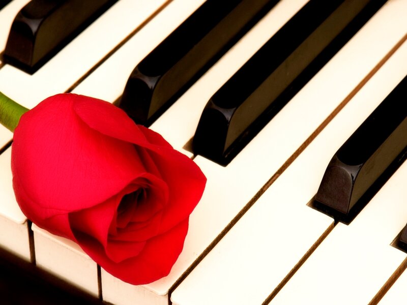 Red Rose on Piano Keys — Romantic