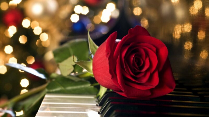 Red Rose on Piano — Romantic, Night, Photograph, Piano Keys