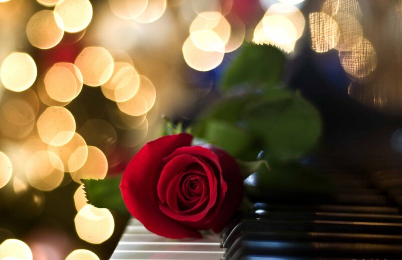 Red Rose on Piano — Romantic, Night, Photograph