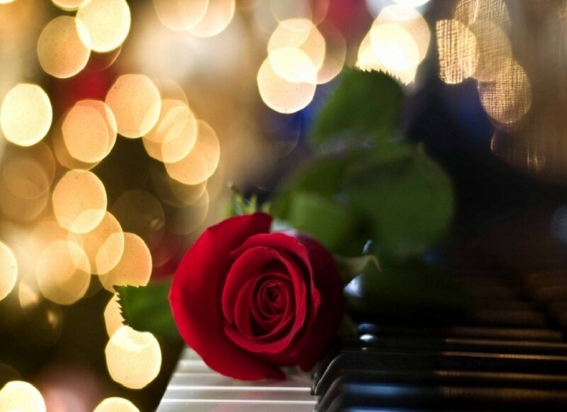 Red Rose on Piano — Romantic, Night
