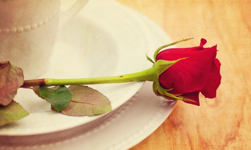 Red Rose on Plate — Calm, Photograph