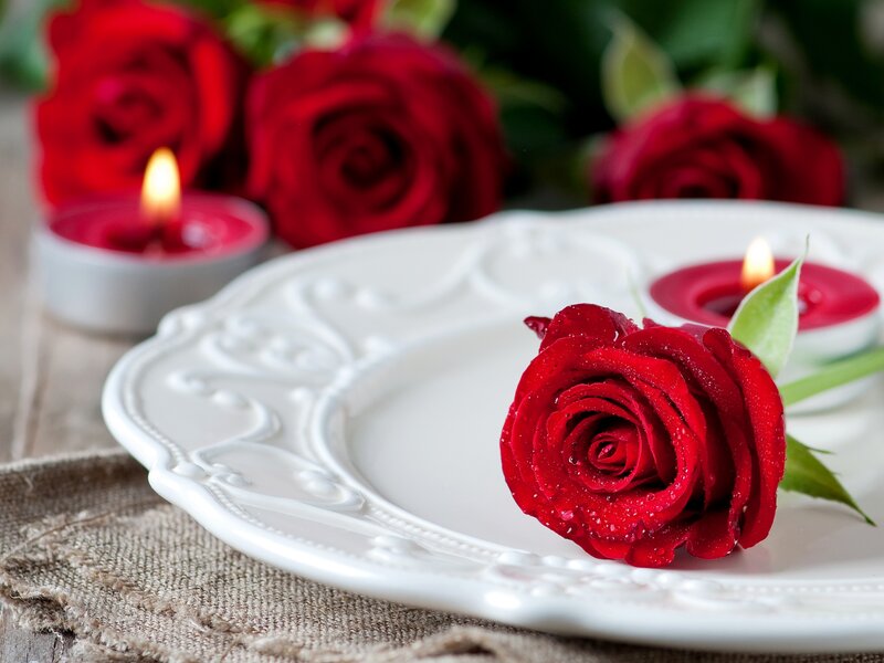 Red Rose on Plate — Romantic, Photograph, Candle