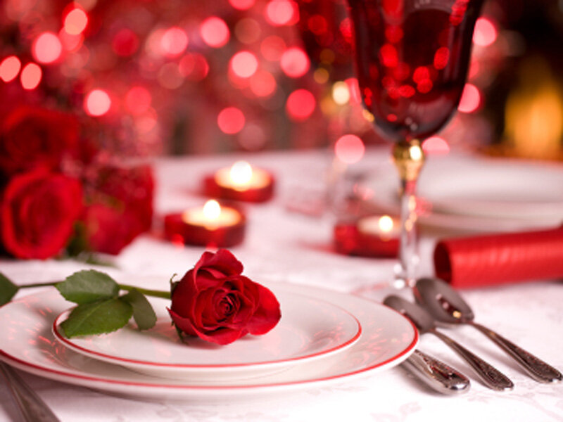 Red Rose on Plate — Romantic