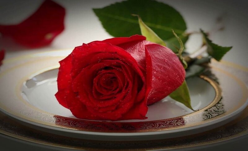 Red Rose on Plate — Serene, Photograph, Leaf, Petal