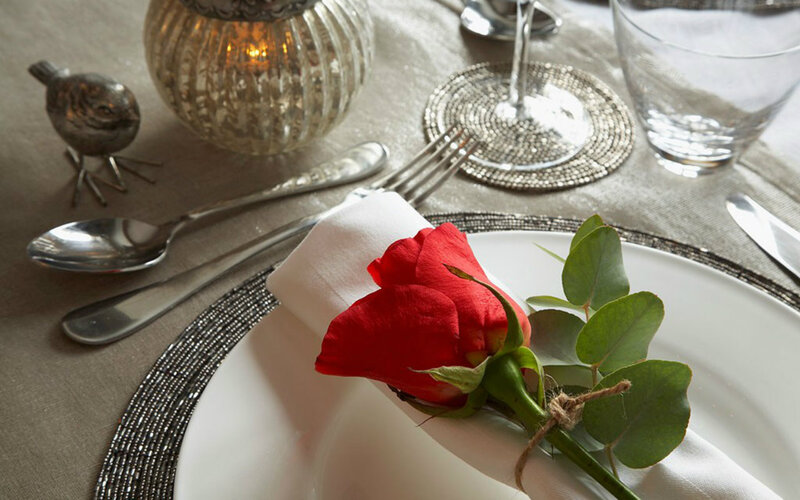Red Rose on Plate — White, Elegant