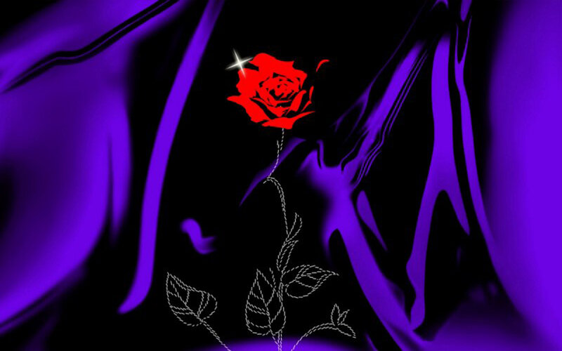 Red Rose on Purple Fabric