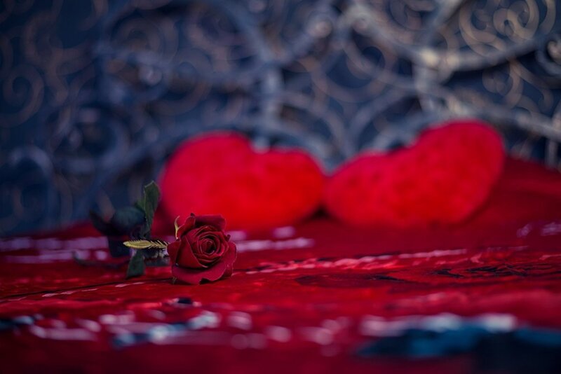 Red Rose on Red Surface — Romantic, Photograph