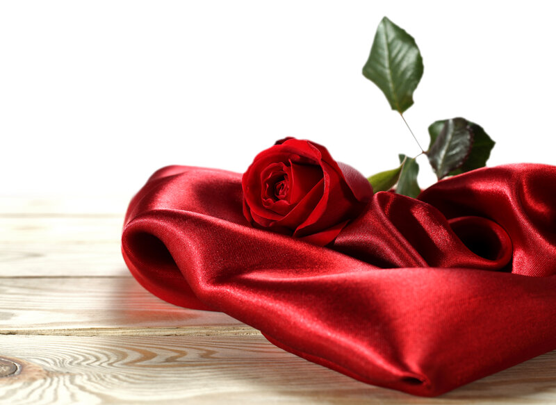 Red Rose on Satin
