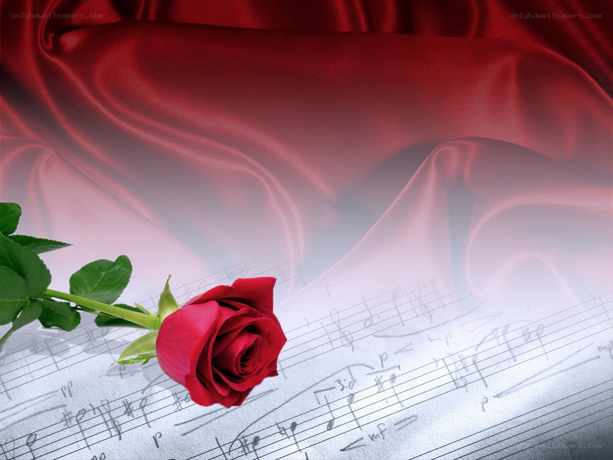 red rose on sheet music
