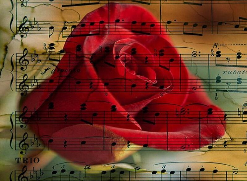 Red rose on sheet music