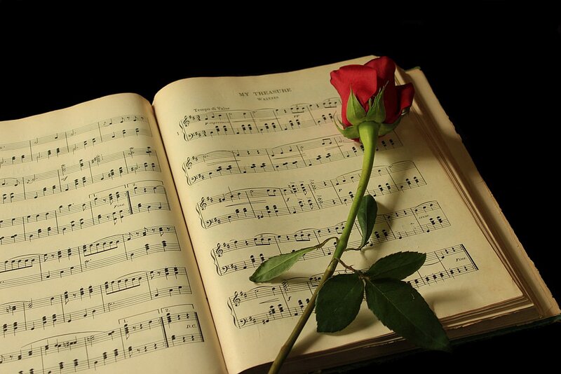 Red Rose on Sheet Music — Black
