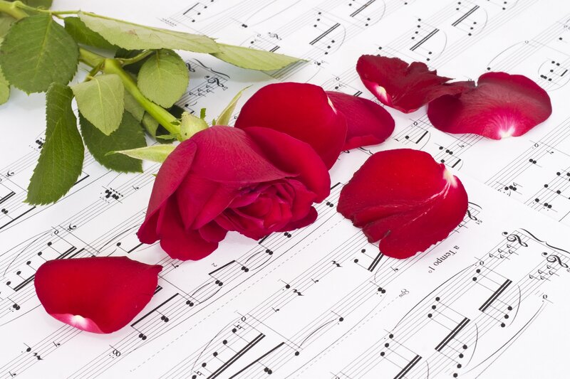 Red Rose on Sheet Music — Calm, Photograph, Rose Petals
