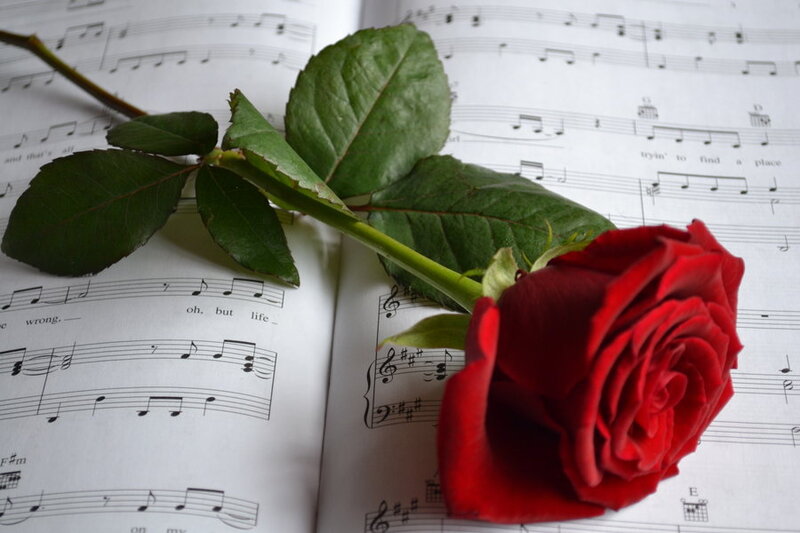Red Rose on Sheet Music — Calm, Photograph, Sheet Music, Leaves