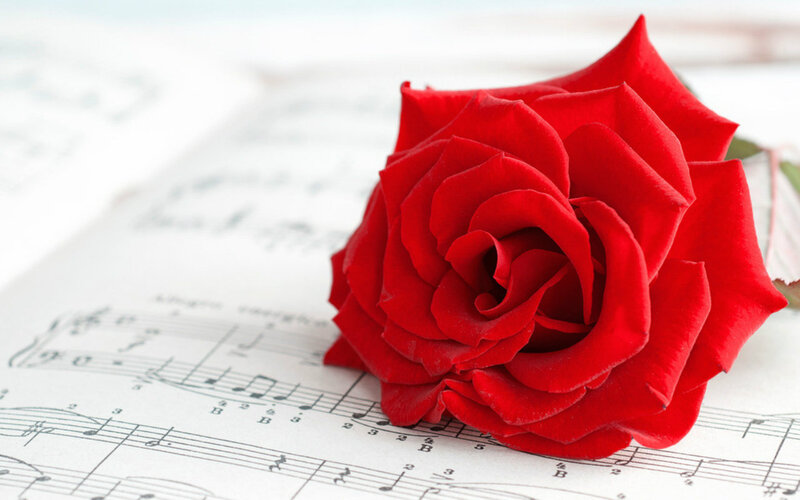 Red Rose on Sheet Music — Calm, Photograph, Sheet Music, Stem