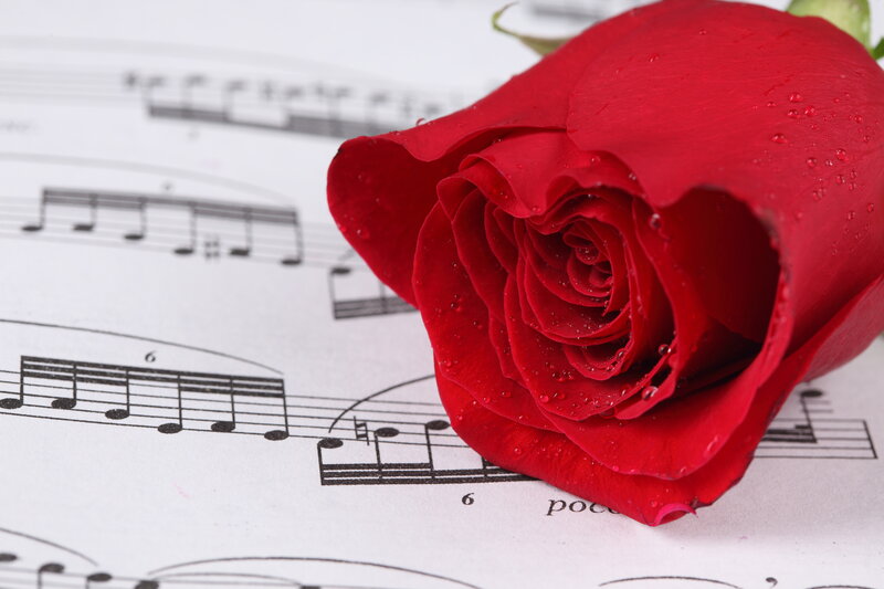 Red Rose on Sheet Music — Calm