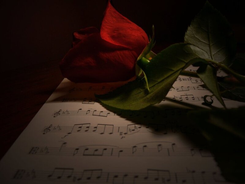 Red Rose on Sheet Music — Dramatic, Night, Photograph, Sheet Music
