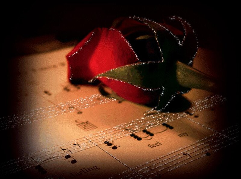 Red Rose on Sheet Music — Dramatic, Night, Photograph