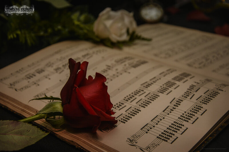 Red Rose on Sheet Music — Dramatic, Night, Photograph, White Rose