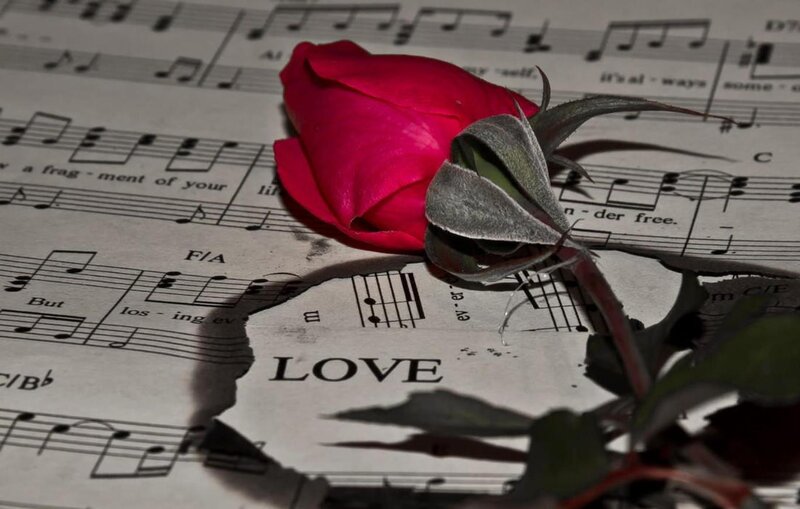 Red Rose on Sheet Music — Dramatic, Photograph, Sheet Music, Stem