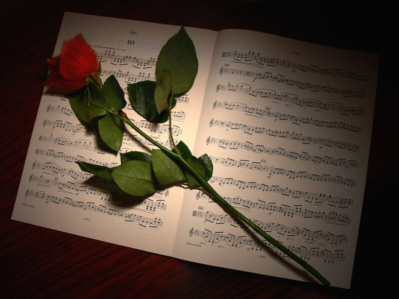 Red Rose on Sheet Music — Dramatic, Photograph, Sheet Music