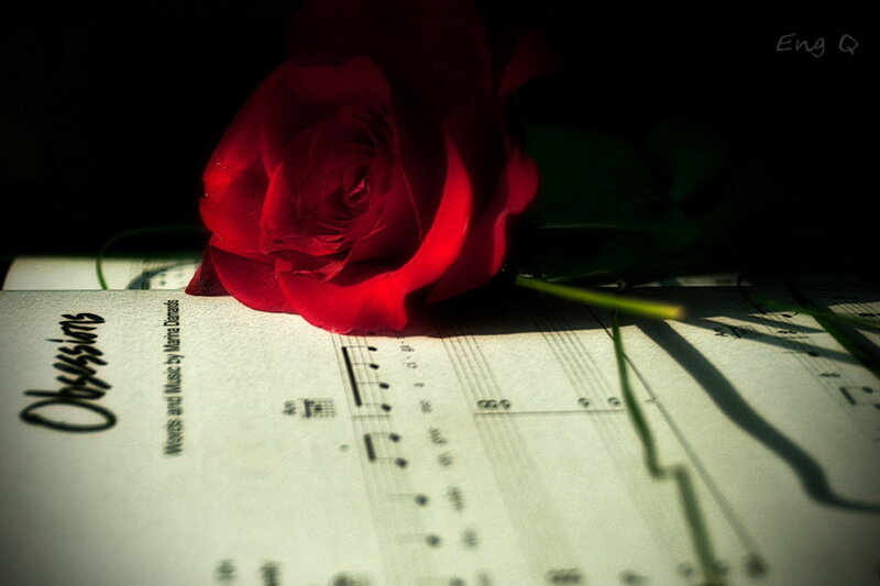 Red Rose on Sheet Music — Dramatic