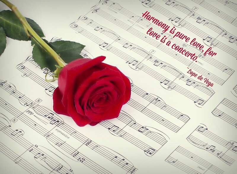 Red Rose on Sheet Music — Romantic, Photograph, Sheet Music, Text