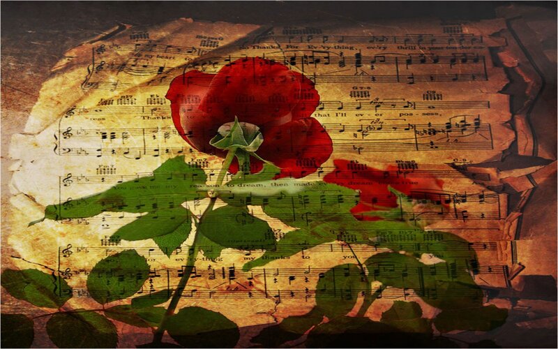 Red Rose on Sheet Music — Romantic
