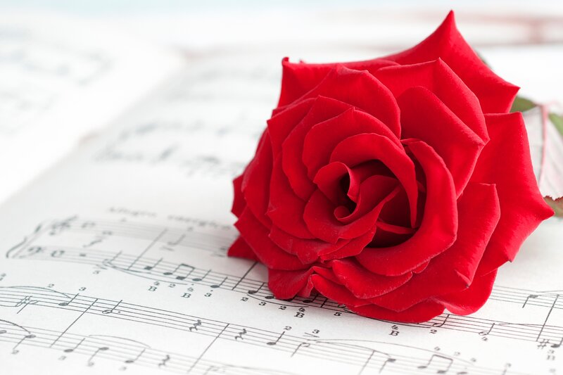 Red Rose on Sheet Music — Serene, Photograph, Sheet Music, Stem