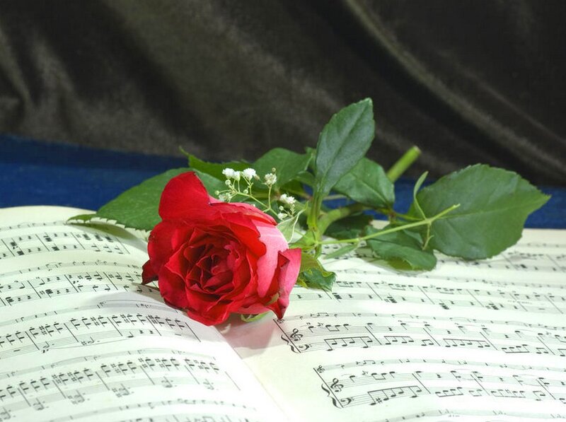 Red Rose on Sheet Music — Serene, Photograph
