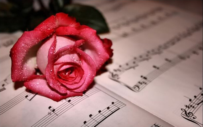 Red Rose on Sheet Music — Serene